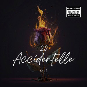 Accidentelle 2.0