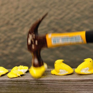 Not Another  Peep