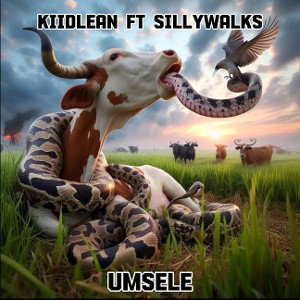 -KiidLean FT SillyWalks_Umsele