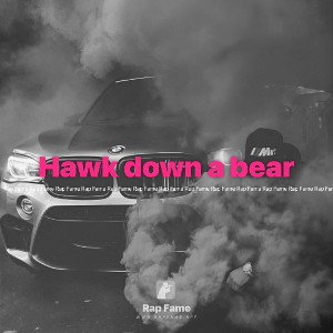 Hawk down a bear