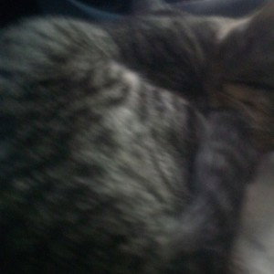 mmmmmm yea in pop's house every day hey you can do it was my fault wait for dad kills me and my friend rocky mount NC to