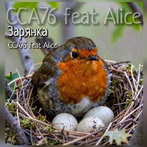 Зарянка (Алиса / ССА76)