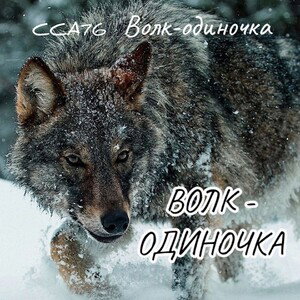 Волк - одиночка 