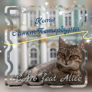 Коты Санкт-Петербурга (Алиса / ССА76)