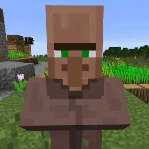 minrcaft citer