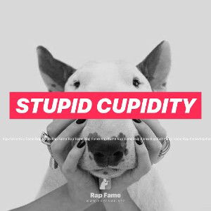 stupid cupidity 