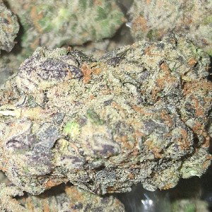 Krop killa