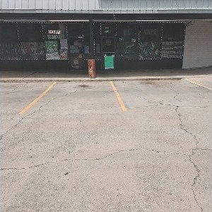 king bluefacts shop with Mike 