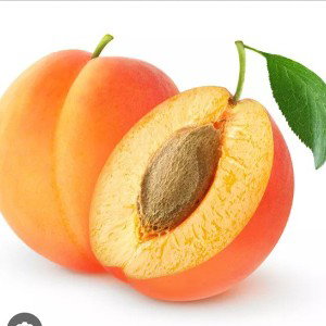Apricot, Cure From God!