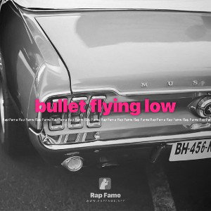 bullet flying low 