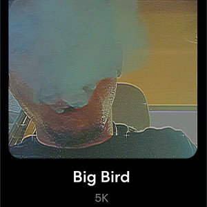 BIG BIRD 🕊️