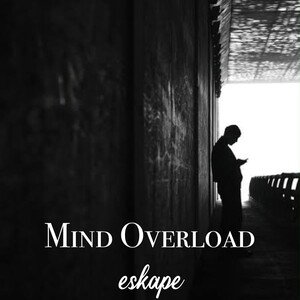Mind Overload
