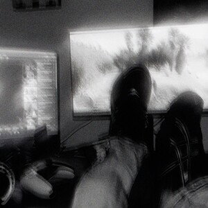 the best Is for sale for 15 dollars