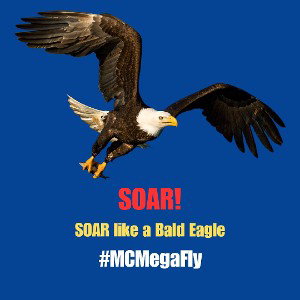 SOAR! Soar like a Bald Eagle (Freestyle) #MCMegaFly #SuperflyStans #FamilyMusic #KidsMusic #rapfame_official #rapfame