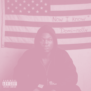 Dominion~nolly_now-i-know (Bass Boost)