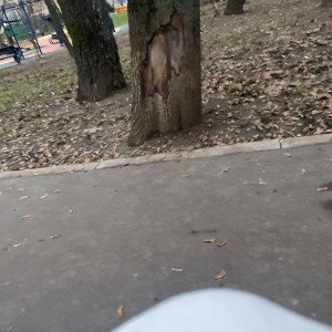 Деревня