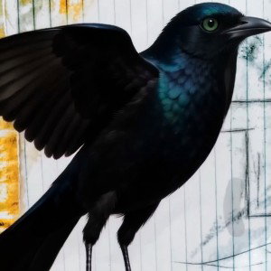 birds of tears