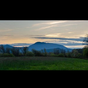 Heart of the valley  