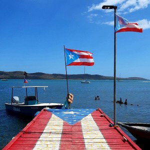 VENGA MI BABY🇵🇷