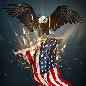 EAGLE IN USA ALBUM 
