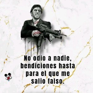el chiro 4.20 