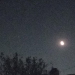 Yuuzu Moon 🌙 - Tu Estrella (Versión Mejorada)