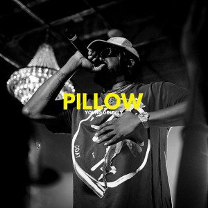 Pillow (21:47:29)
