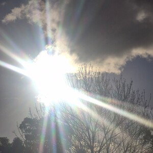 SEE THE LIGHT THROUGH YOUR EYES 