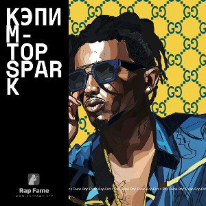 кэпим-Top Spark