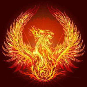 Phoenix - Qui suis je?