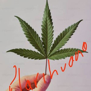 La marihuana