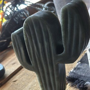 cactus flow motion 