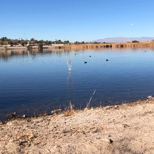 fishing_in_ditches