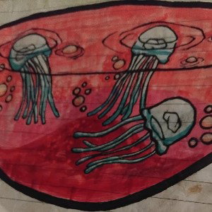 JELLYFISH