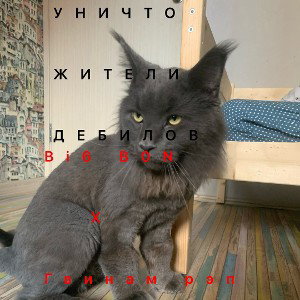 уничтожители дебилов