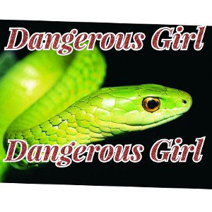 Dangerous Girl