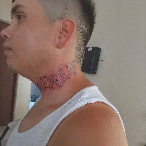 Dale fuego al gallo 