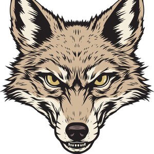 CAYOTE 💯
