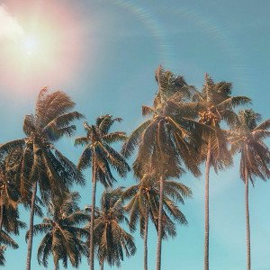 sunny day chill