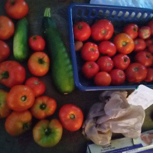 Homesteader's Rap