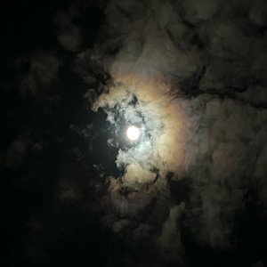Bssst sisch 1:32 Z Nacht