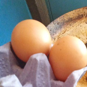 los huevos del Huelmo