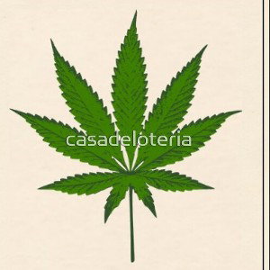 SIN DROGAS 