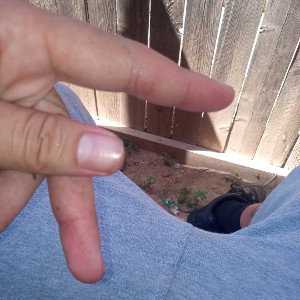For:.3v3r.:solid.Mob(Musko.Muzik)