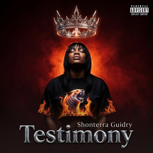 Testimony 