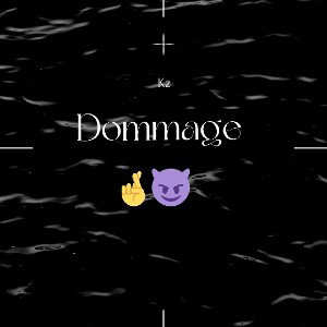 DOMMAGE 