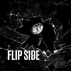 FLIPSIDE