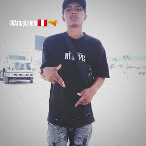 Aries laichi csmr