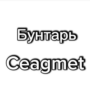 Бунтарь