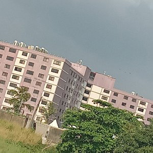 shokiri 